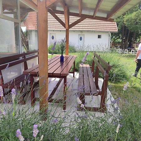 Mirella Rooms Palić Zewnętrze zdjęcie